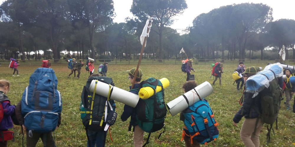 Caccia arrivederci Akela